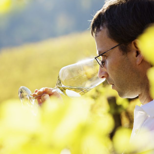 Vin sans alcool - Sélection des vins - Désalcoolisation